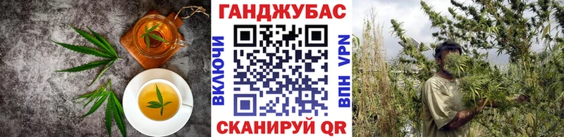 ОМГ ОМГ ссылки  Саров  Еда ТГК марихуана 